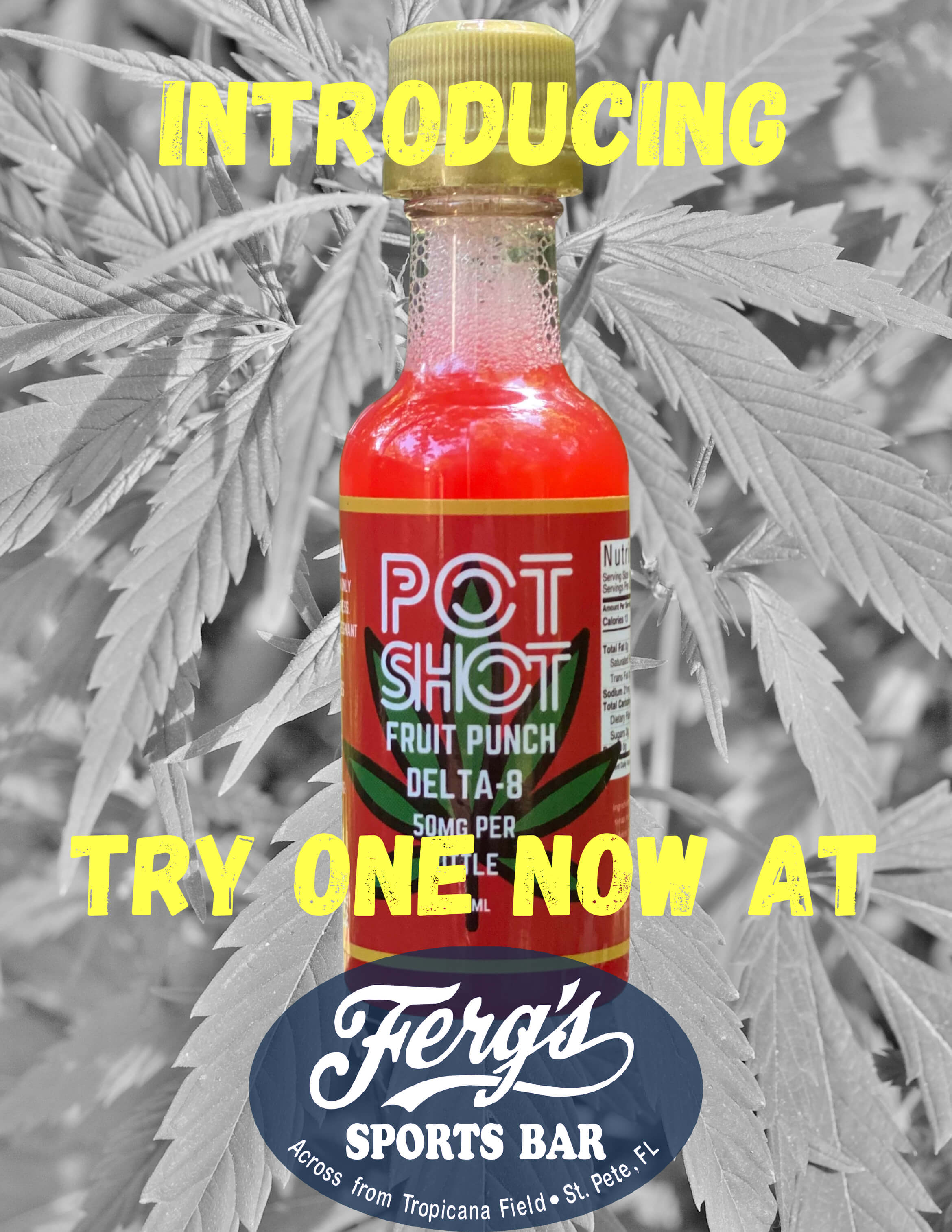 Ferg's Pot Shots - Try One Today!